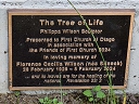 Wilson, Philippa - First Church of Otago (id=9398)